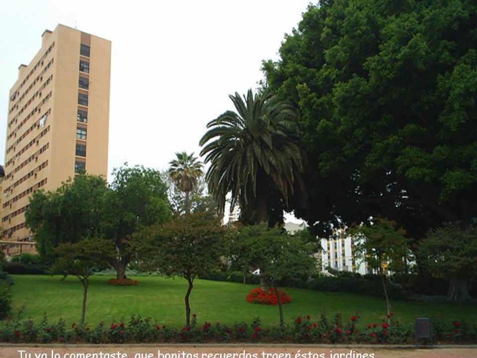 Tu ya lo comentaste, que bonitos recuerdos traen éstos jardines