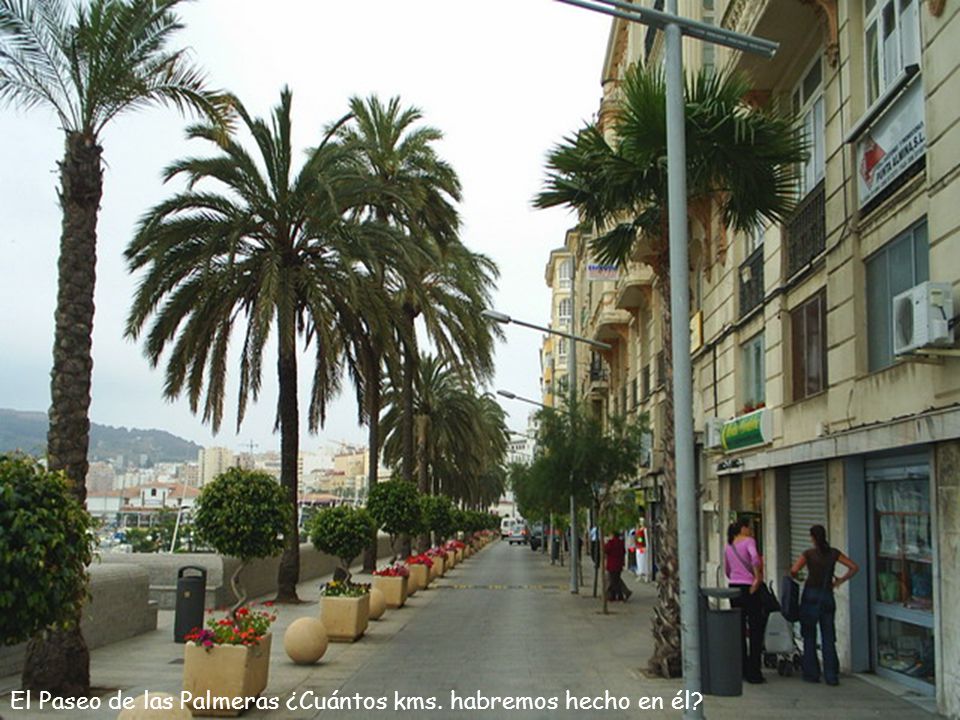 El Paseo de las Palmeras ¿Cuántos kms. habremos hecho en él