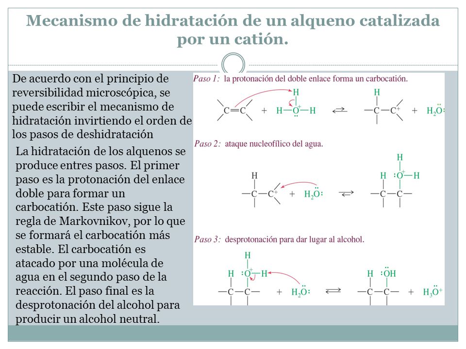 Mecanismo de hidratación de un alqueno catalizada por un catión.