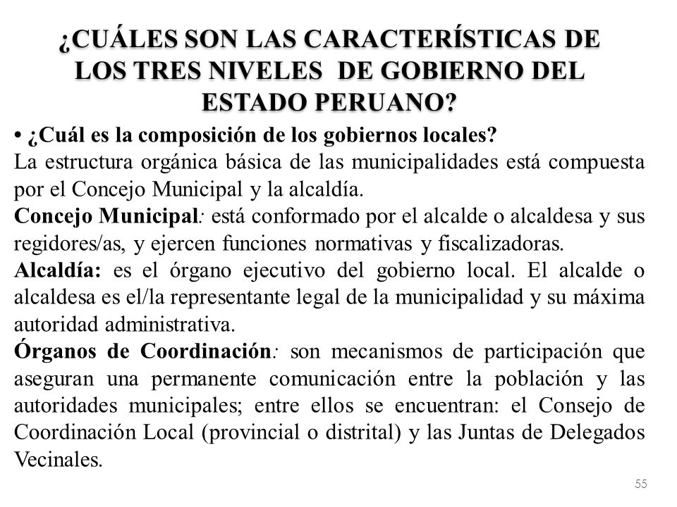 ¿Cuáles son las características de los tres niveles de gobierno del Estado Peruano