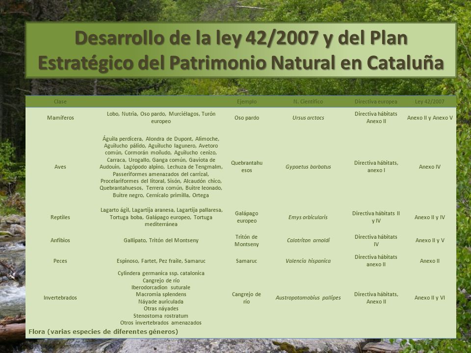 Desarrollo de la ley 42/2007 y del Plan Estratégico del Patrimonio Natural en Cataluña
