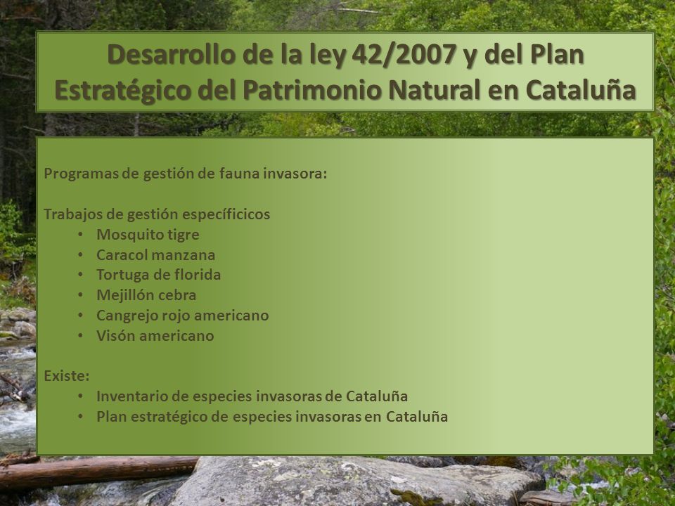 Desarrollo de la ley 42/2007 y del Plan Estratégico del Patrimonio Natural en Cataluña