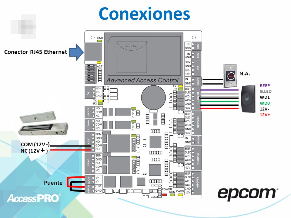 Conexiones Conector RJ45 Ethernet Puente N.A. COM (12V -) NC (12V + )
