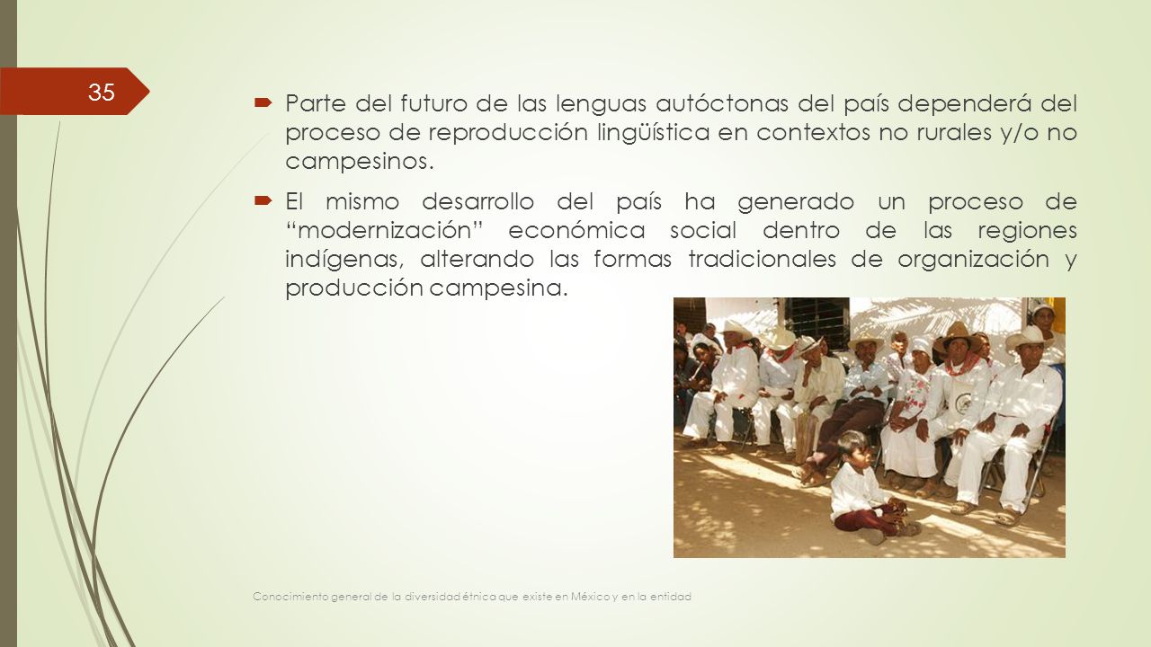 Parte del futuro de las lenguas autóctonas del país dependerá del proceso de reproducción lingüística en contextos no rurales y/o no campesinos.