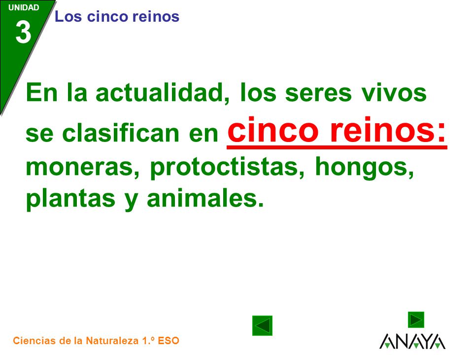 En la actualidad, los seres vivos se clasifican en cinco reinos: moneras, protoctistas, hongos, plantas y animales.