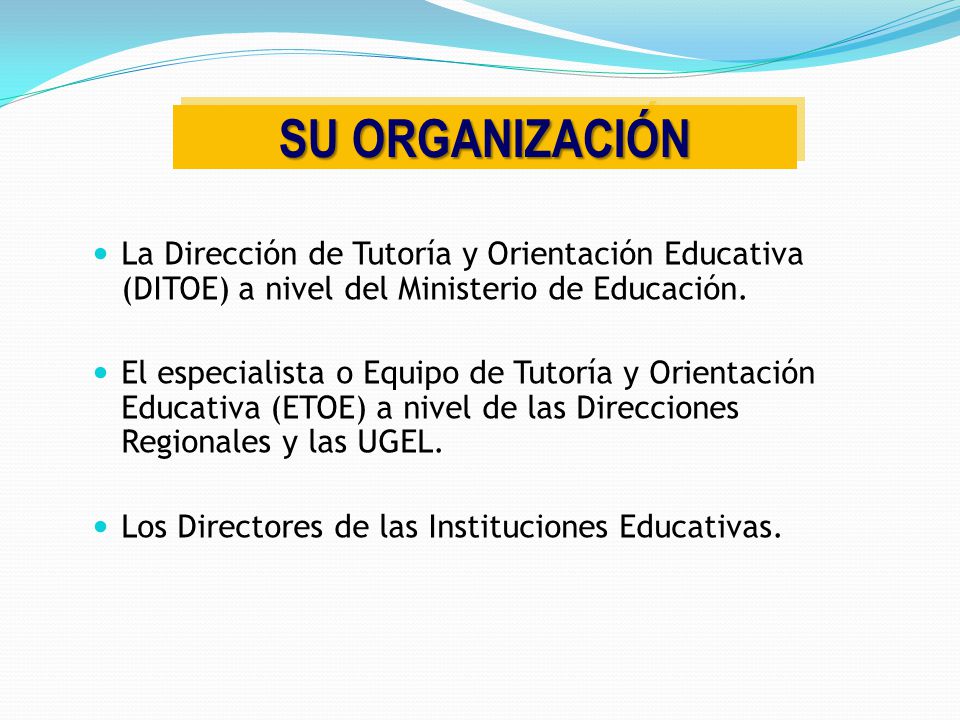 SU ORGANIZACIÓN La Dirección de Tutoría y Orientación Educativa (DITOE) a nivel del Ministerio de Educación.