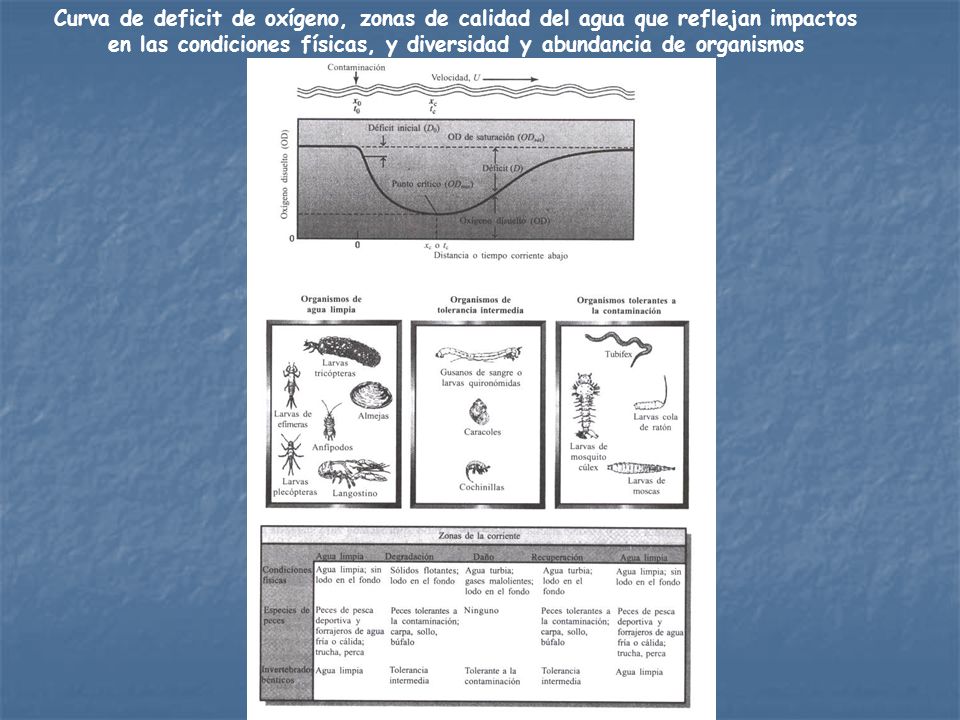 Curva de deficit de oxígeno, zonas de calidad del agua que reflejan impactos en las condiciones físicas, y diversidad y abundancia de organismos