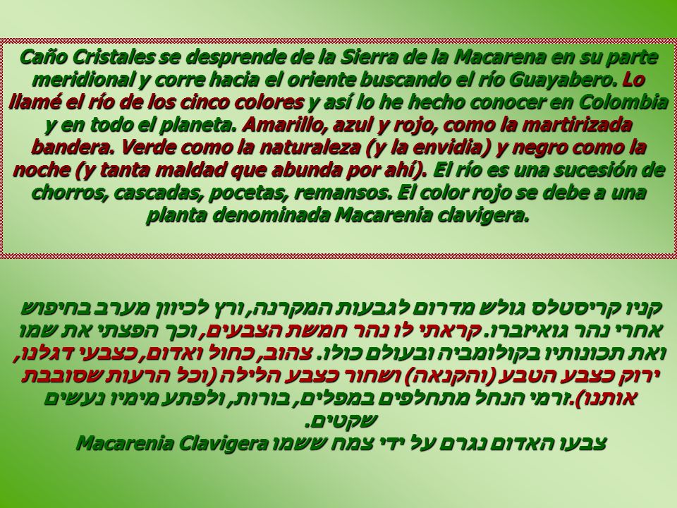 קניו קריסטלס גולש מדרום לגבעות המקרנה, ורץ לכיוון מערב בחיפוש