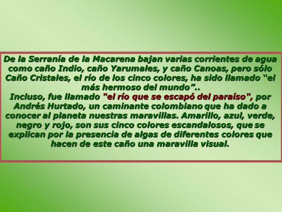 De la Serranía de la Macarena bajan varias corrientes de agua como caño Indio, caño Yarumales, y caño Canoas, pero sólo Caño Cristales, el río de los cinco colores, ha sido llamado el más hermoso del mundo ..