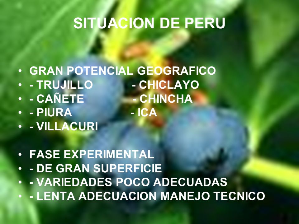 SITUACION DE PERU GRAN POTENCIAL GEOGRAFICO - TRUJILLO - CHICLAYO