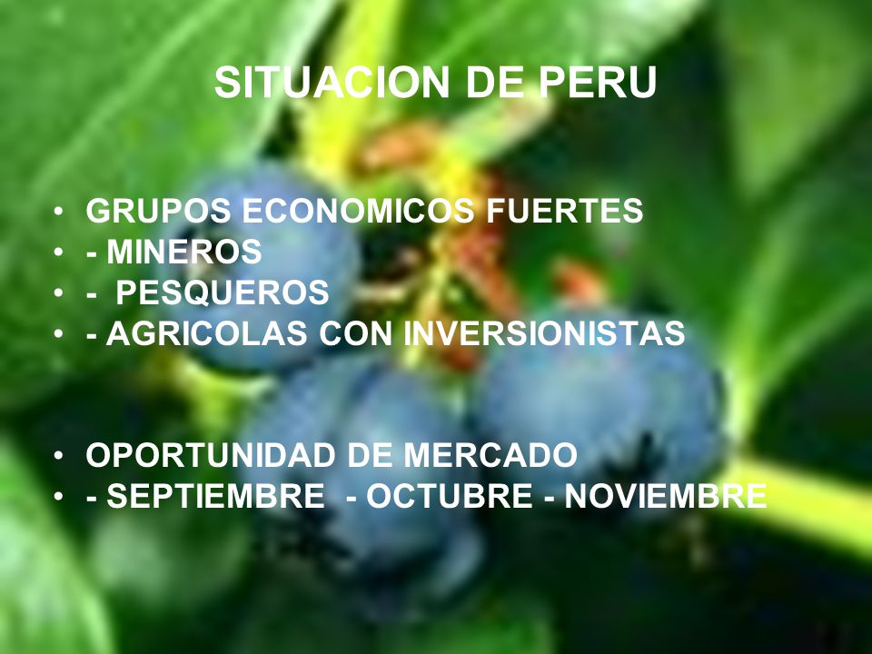 SITUACION DE PERU GRUPOS ECONOMICOS FUERTES - MINEROS - PESQUEROS