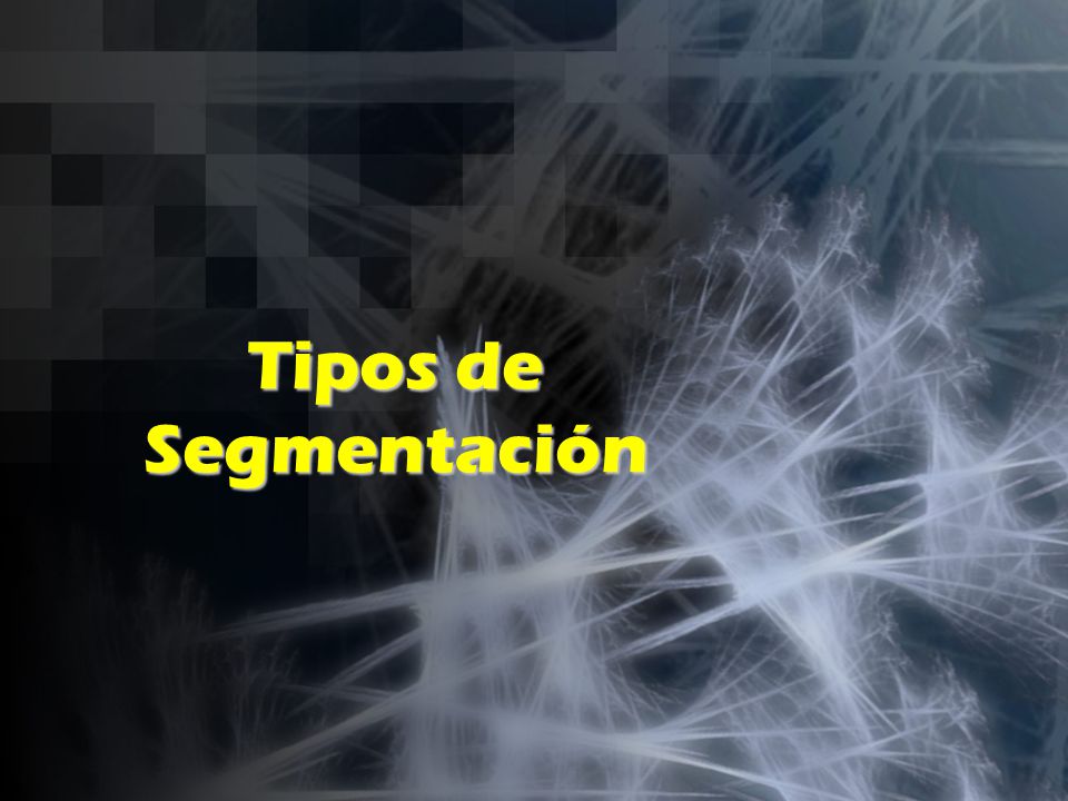 Tipos de Segmentación