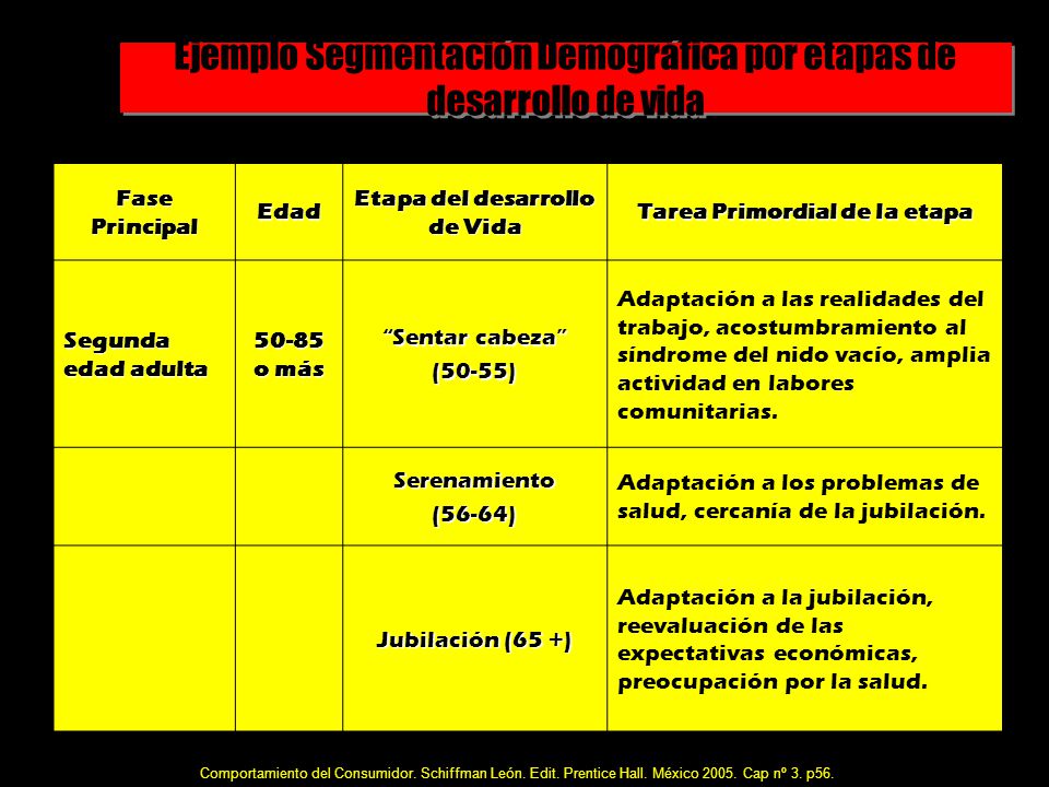 Ejemplo Segmentación Demográfica por etapas de desarrollo de vida