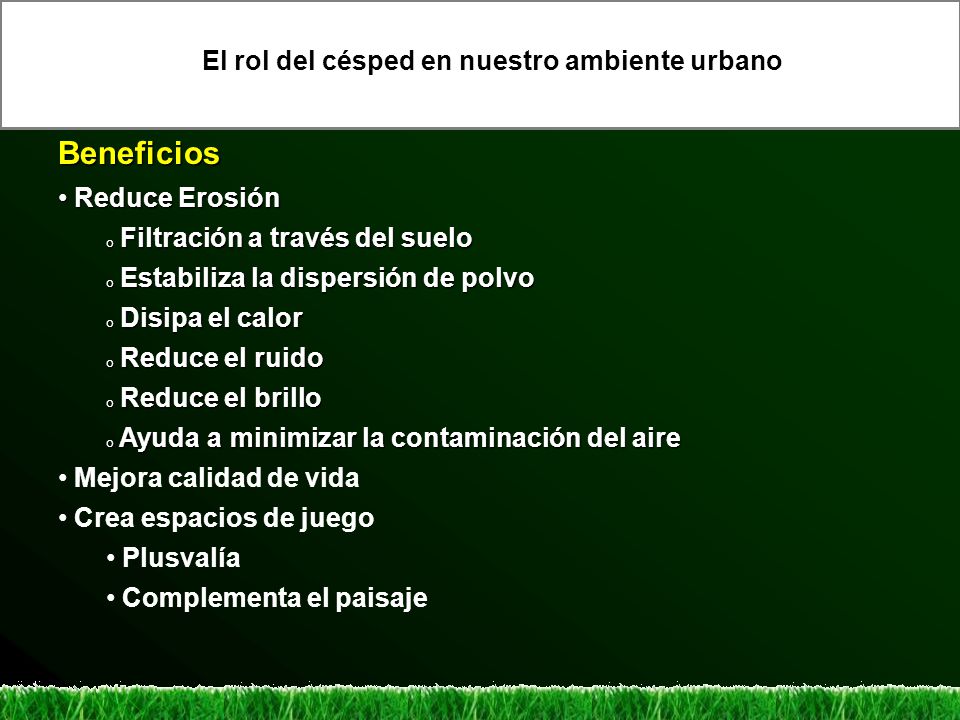 Beneficios El rol del césped en nuestro ambiente urbano Reduce Erosión
