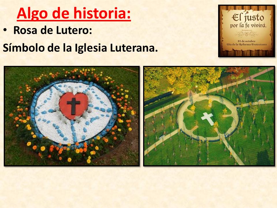 Algo de historia: Rosa de Lutero: Símbolo de la Iglesia Luterana.