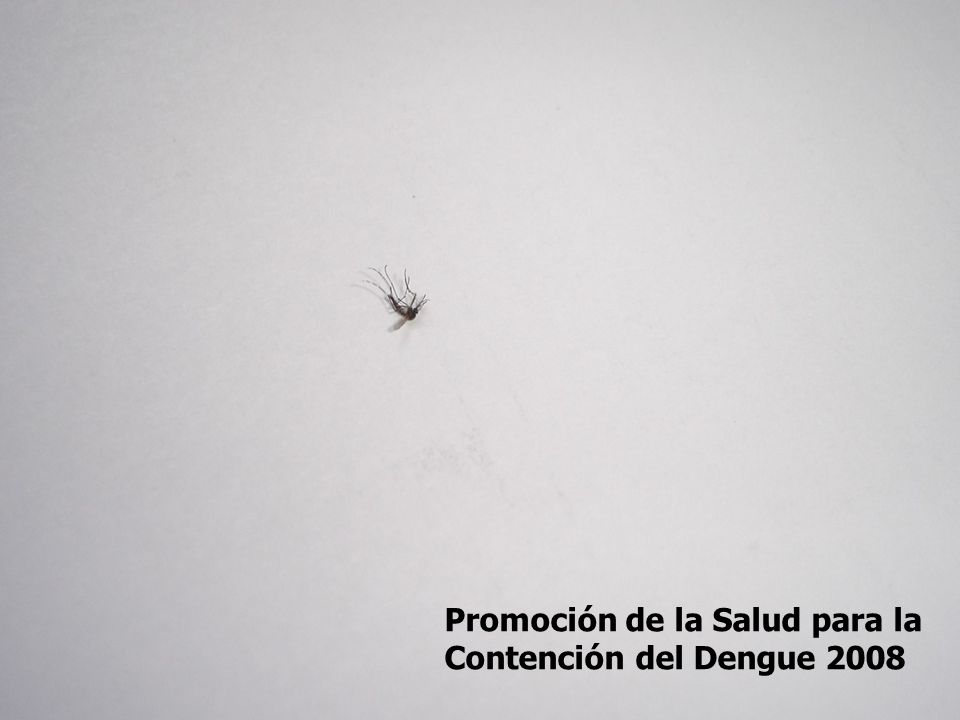 Promoción de la Salud para la Contención del Dengue 2008