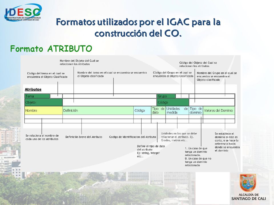 Formatos utilizados por el IGAC para la construcción del CO.