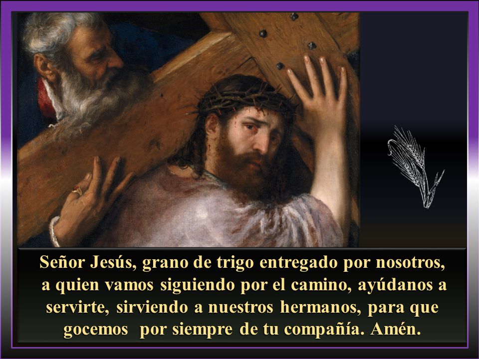 Señor Jesús, grano de trigo entregado por nosotros,