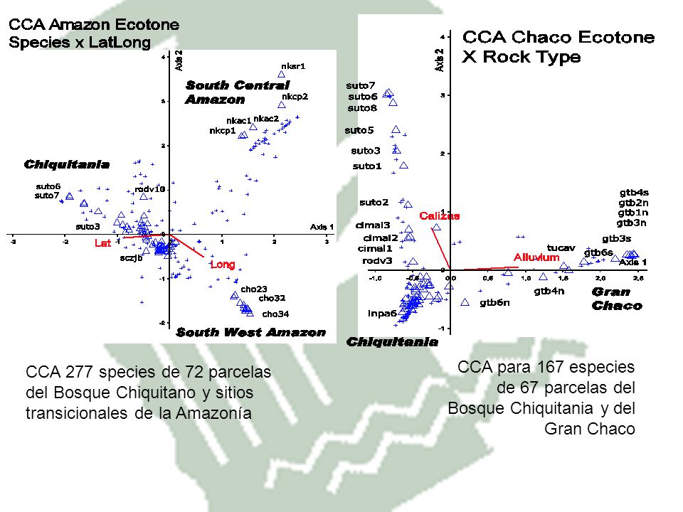 CCA para 167 especies de 67 parcelas del Bosque Chiquitania y del Gran Chaco