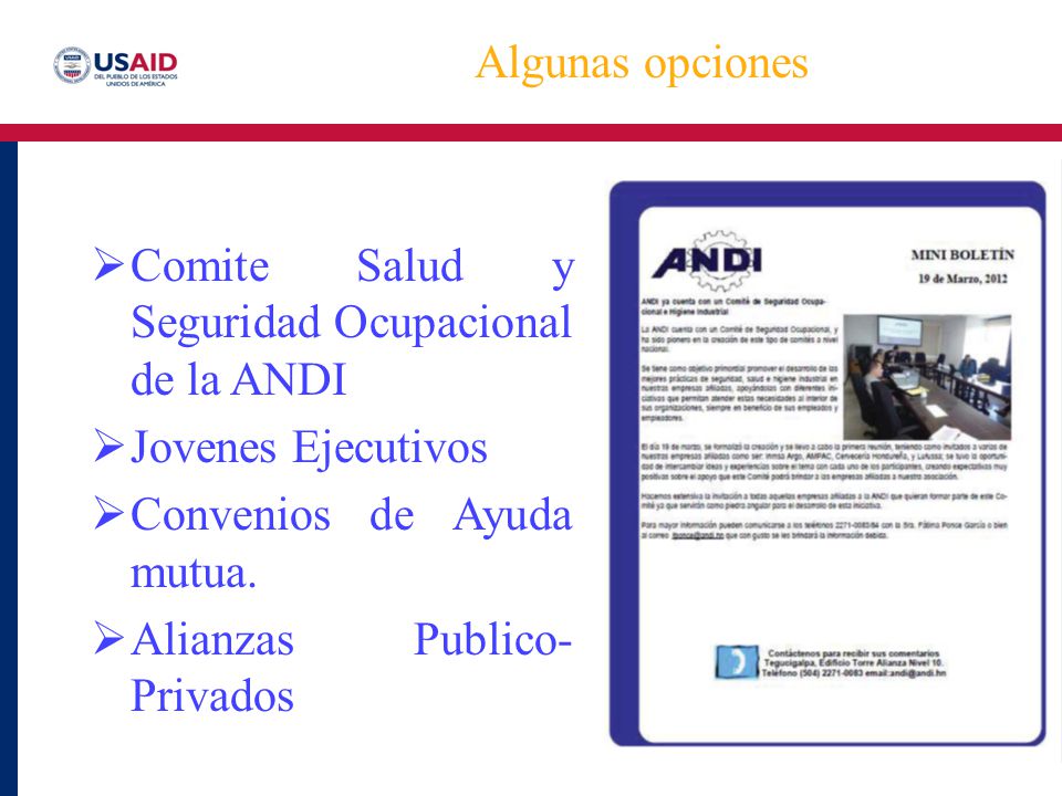Algunas opciones Comite Salud y Seguridad Ocupacional de la ANDI. Jovenes Ejecutivos. Convenios de Ayuda mutua.