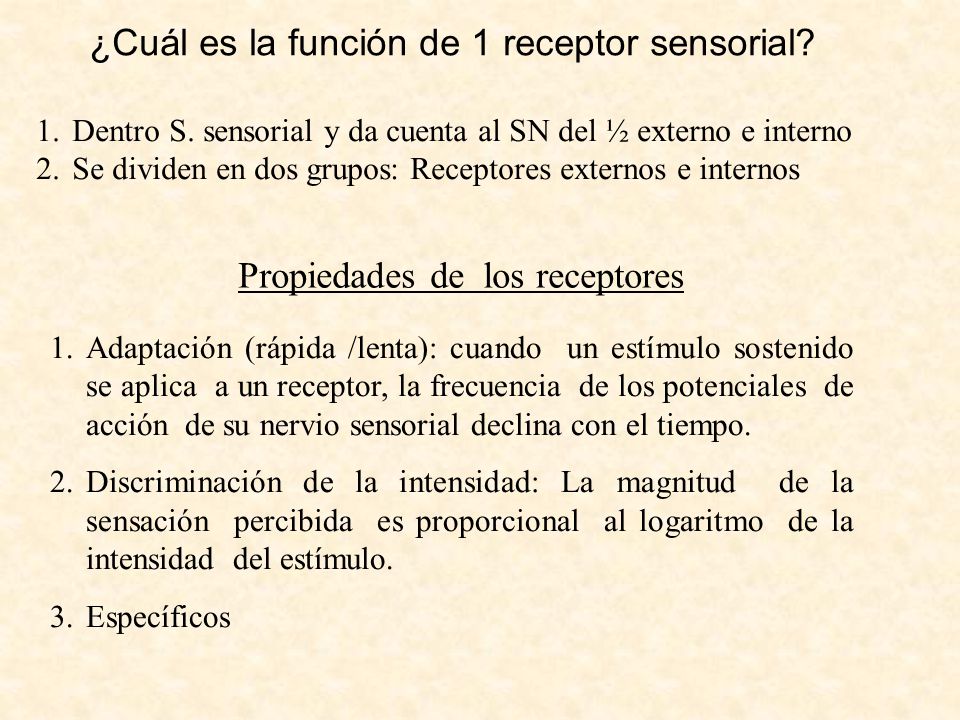 ¿Cuál es la función de 1 receptor sensorial