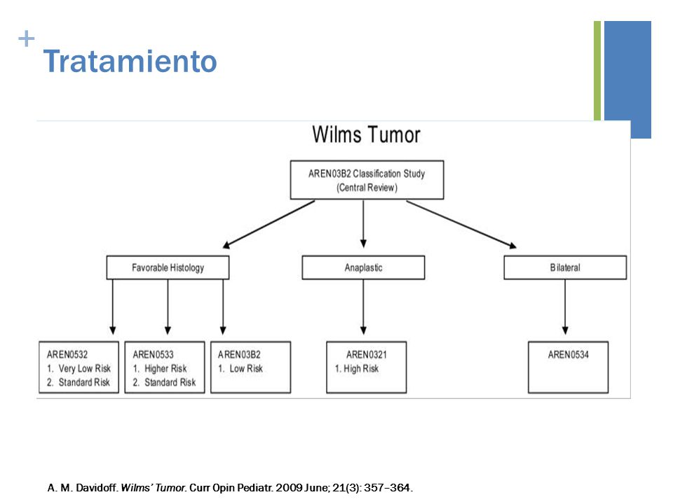 Tratamiento A. M. Davidoff. Wilms’ Tumor. Curr Opin Pediatr June; 21(3): 357–364.