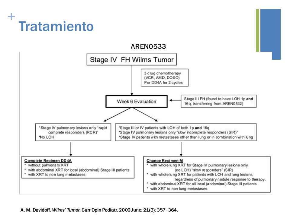 Tratamiento AREN0533 A. M. Davidoff. Wilms’ Tumor. Curr Opin Pediatr June; 21(3): 357–364.