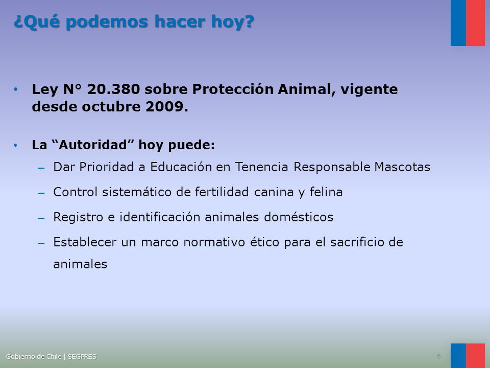 ¿Qué podemos hacer hoy Ley N° sobre Protección Animal, vigente desde octubre La Autoridad hoy puede: