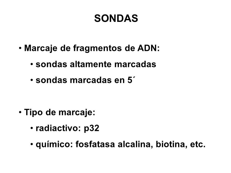 SONDAS Marcaje de fragmentos de ADN: sondas altamente marcadas