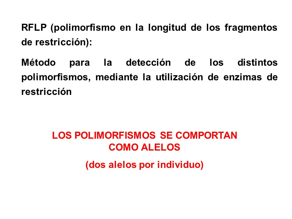 LOS POLIMORFISMOS SE COMPORTAN COMO ALELOS (dos alelos por individuo)