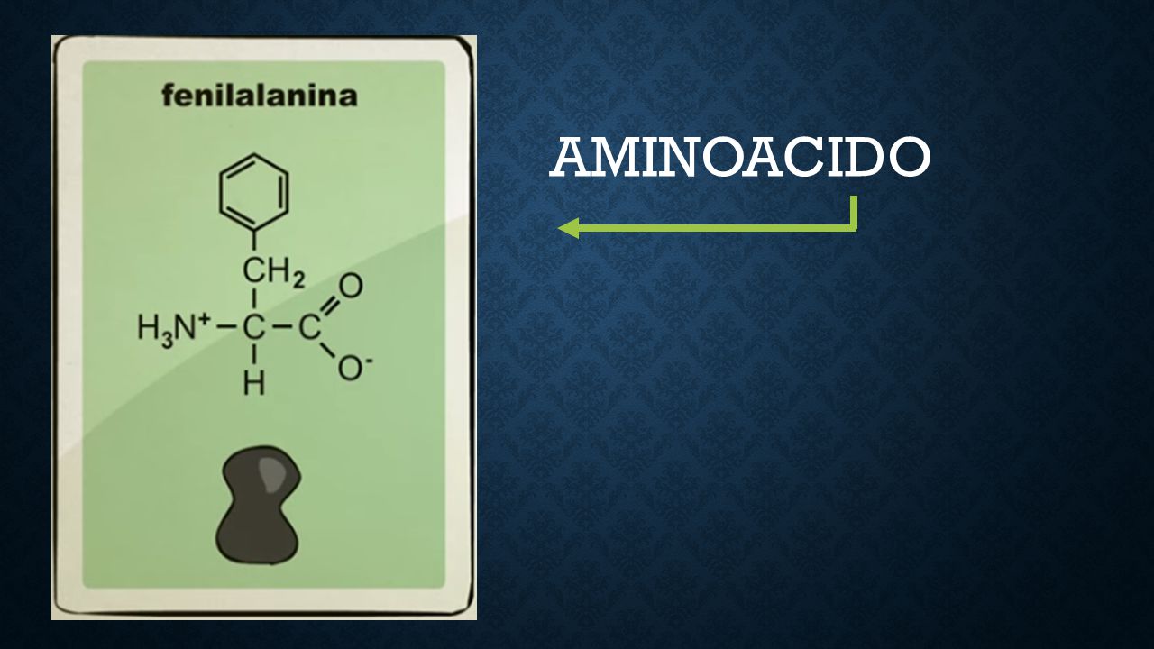 AMINOACIDO