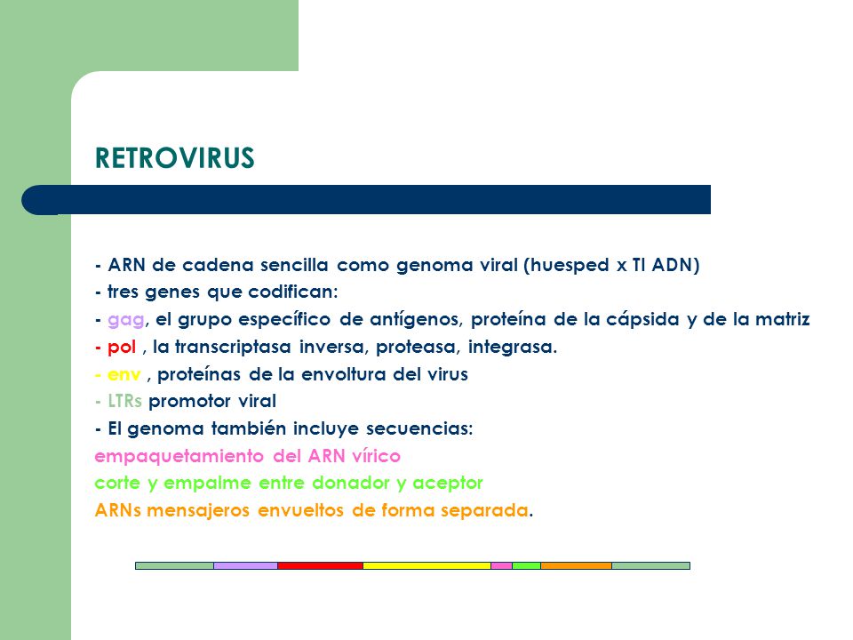 RETROVIRUS - ARN de cadena sencilla como genoma viral (huesped x TI ADN) - tres genes que codifican:
