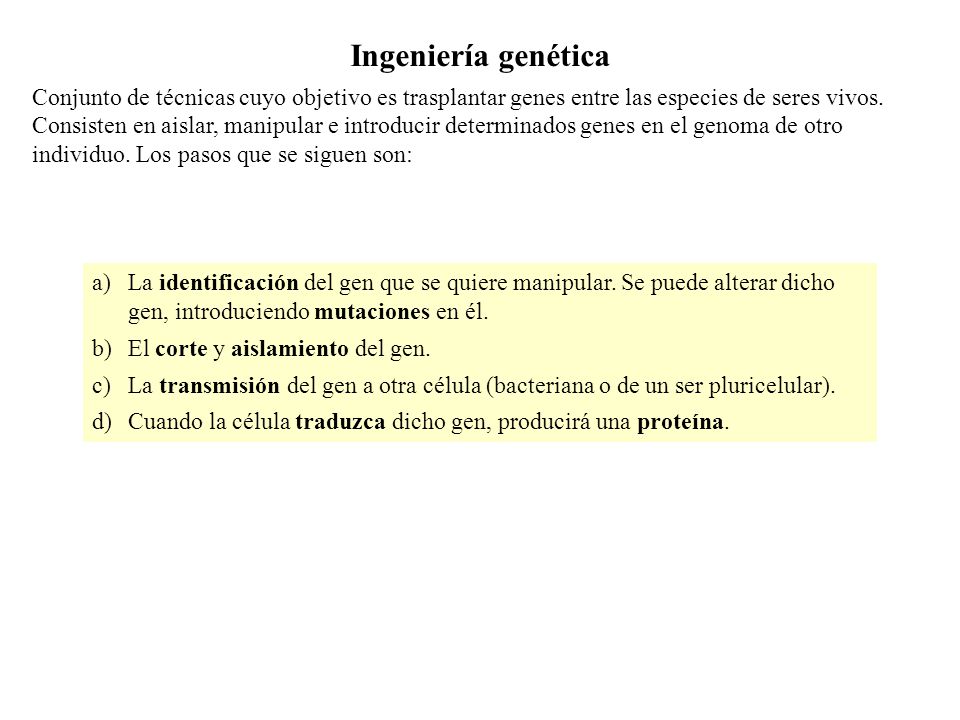 Ingeniería genética Conjunto de técnicas cuyo objetivo es trasplantar genes entre las especies de seres vivos.
