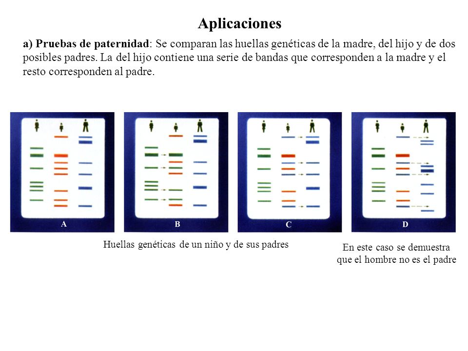 En este caso se demuestra que el hombre no es el padre
