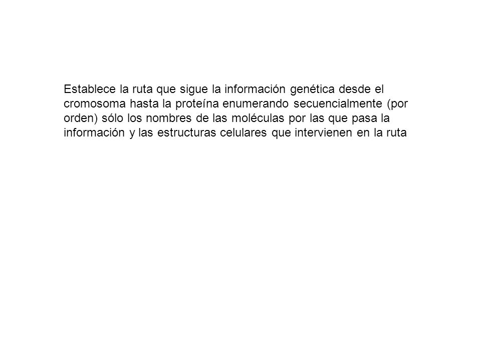 Establece la ruta que sigue la información genética desde el cromosoma hasta la proteína enumerando secuencialmente (por orden) sólo los nombres de las moléculas por las que pasa la información y las estructuras celulares que intervienen en la ruta