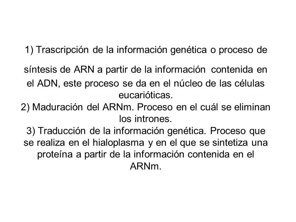 1) Trascripción de la información genética o proceso de síntesis de ARN a partir de la información contenida en el ADN, este proceso se da en el núcleo de las células eucarióticas.