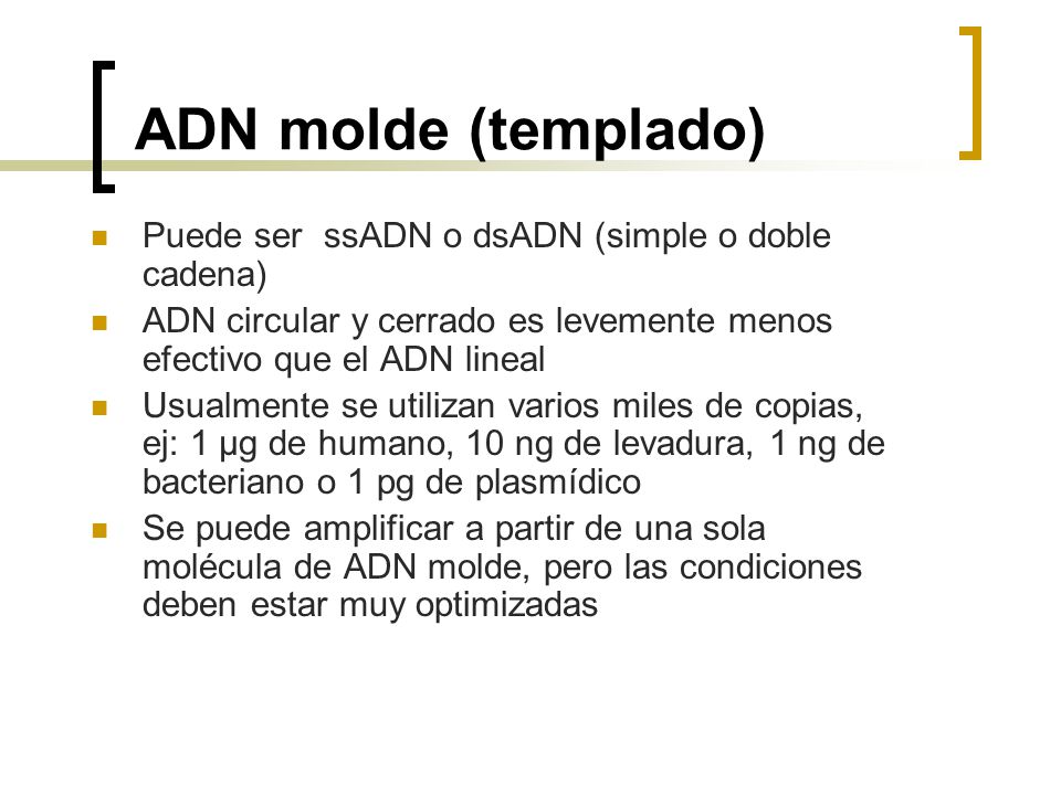 ADN molde (templado) Puede ser ssADN o dsADN (simple o doble cadena)