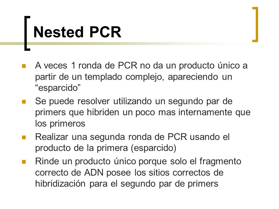 Nested PCR A veces 1 ronda de PCR no da un producto único a partir de un templado complejo, apareciendo un esparcido