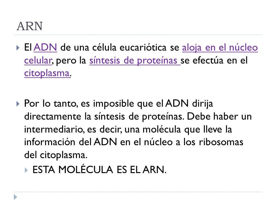 ARN El ADN de una célula eucariótica se aloja en el núcleo celular, pero la síntesis de proteínas se efectúa en el citoplasma.