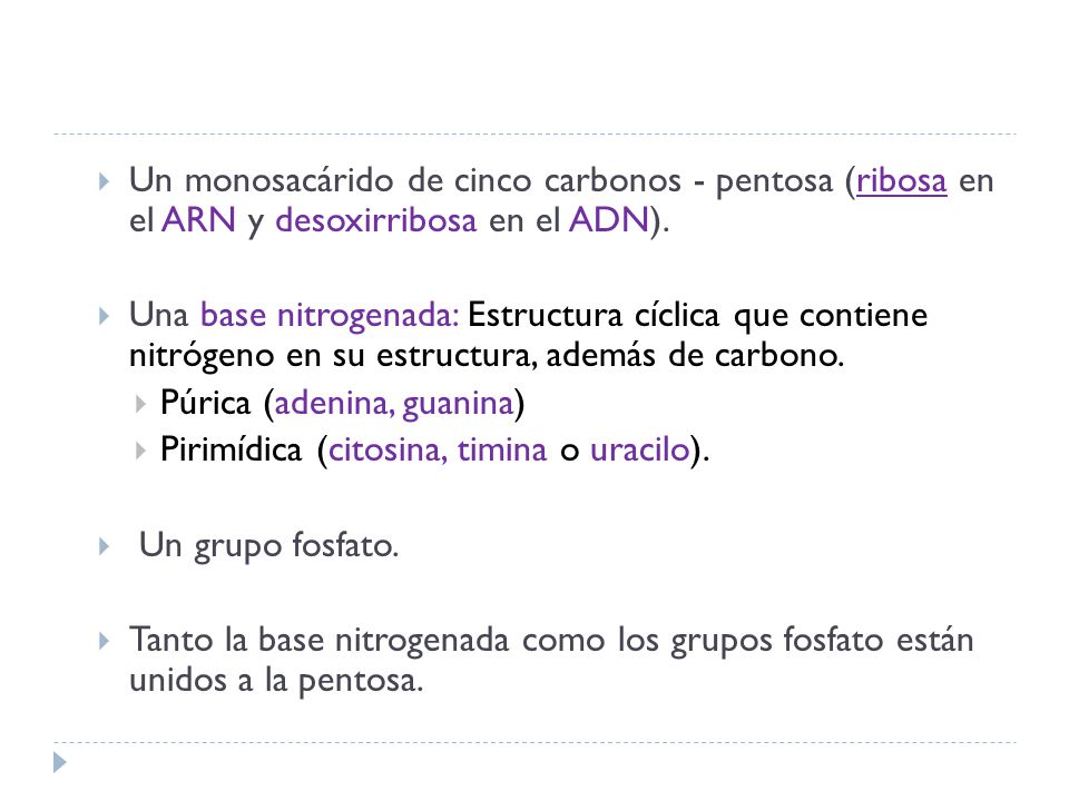 Un monosacárido de cinco carbonos - pentosa (ribosa en el ARN y desoxirribosa en el ADN).