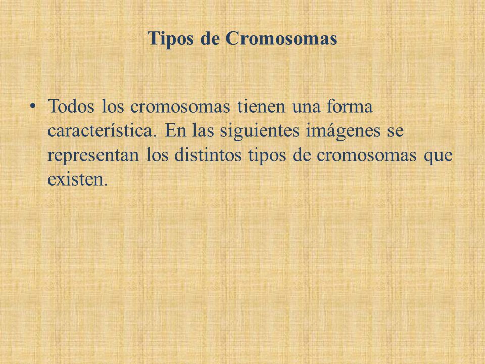 Tipos de Cromosomas