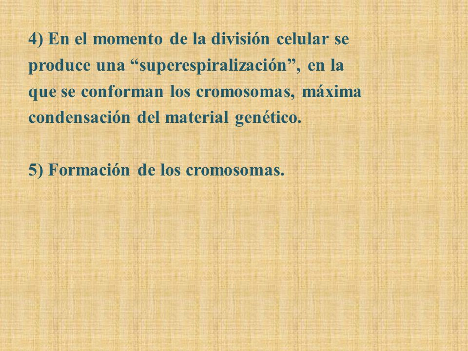 4) En el momento de la división celular se produce una superespiralización , en la que se conforman los cromosomas, máxima condensación del material genético.
