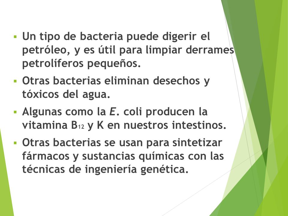 Un tipo de bacteria puede digerir el petróleo, y es útil para limpiar derrames petrolíferos pequeños.