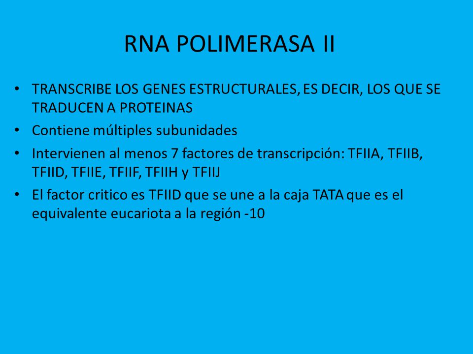 RNA POLIMERASA II TRANSCRIBE LOS GENES ESTRUCTURALES, ES DECIR, LOS QUE SE TRADUCEN A PROTEINAS. Contiene múltiples subunidades.