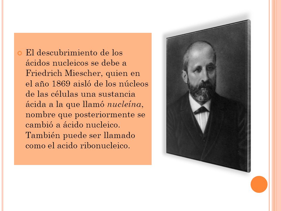 El descubrimiento de los ácidos nucleicos se debe a Friedrich Miescher, quien en el año 1869 aisló de los núcleos de las células una sustancia ácida a la que llamó nucleína, nombre que posteriormente se cambió a ácido nucleico.