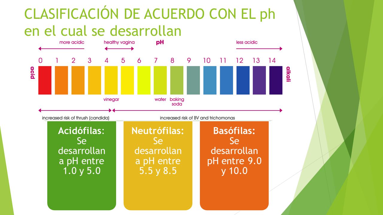 CLASIFICACIÓN DE ACUERDO CON EL ph en el cual se desarrollan
