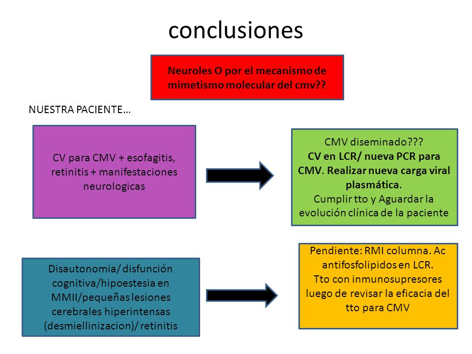 Neuroles O por el mecanismo de mimetismo molecular del cmv