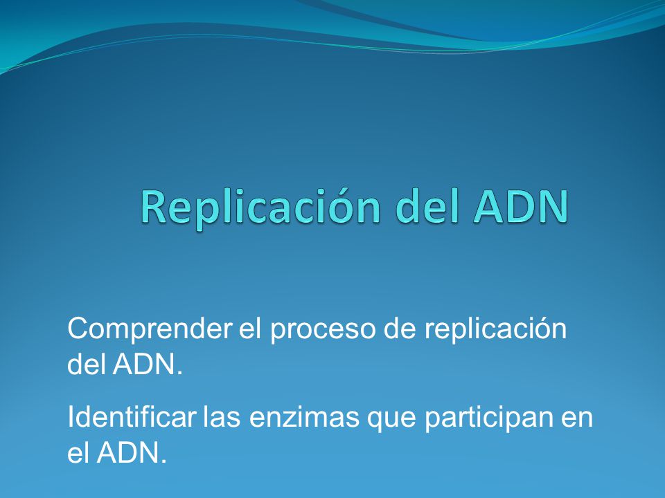 Replicación del ADN Comprender el proceso de replicación del ADN.