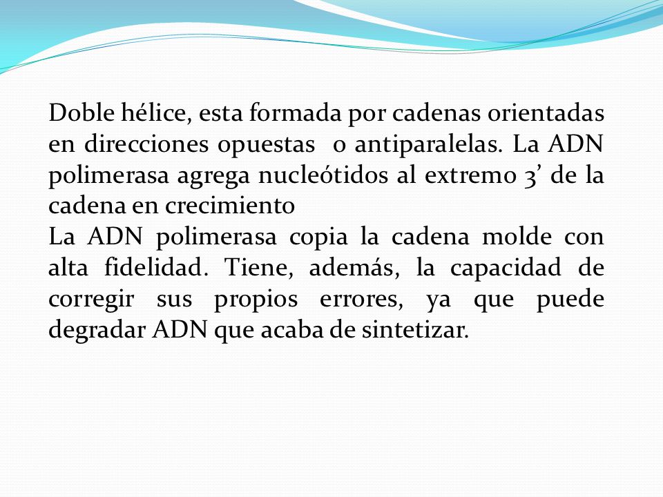 Doble hélice, esta formada por cadenas orientadas en direcciones opuestas o antiparalelas. La ADN polimerasa agrega nucleótidos al extremo 3’ de la cadena en crecimiento