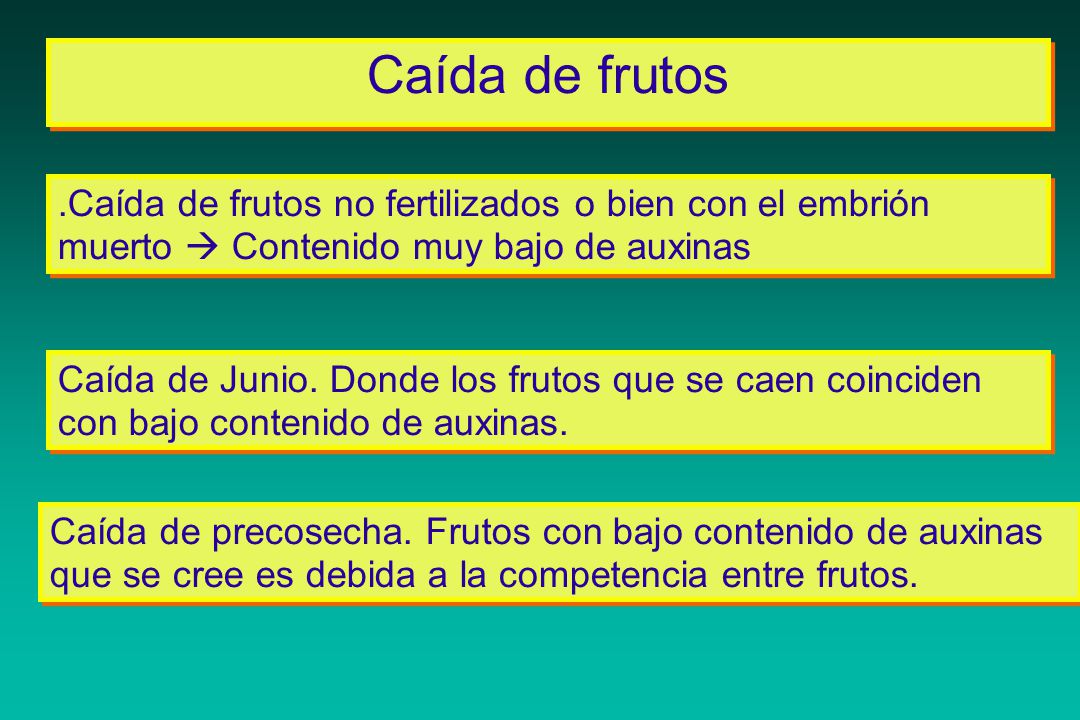 Caída de frutos .Caída de frutos no fertilizados o bien con el embrión muerto  Contenido muy bajo de auxinas.